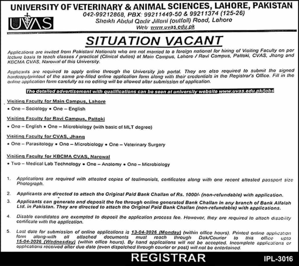 Jobs in University of Veterinary & Animal Sciences Lahore 2026 for Visiting Faculty